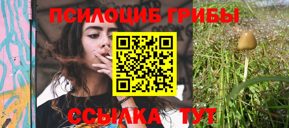 Галлюциногенные грибы GOLDEN TEACHER Пыть-Ях